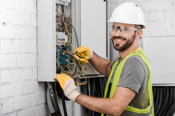 Best Local Electrician Companies  in Starbuck, MN