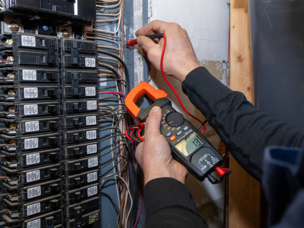 Best Home Electrical Repair  in Starbuck, MN